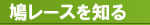 鳩レースを知る