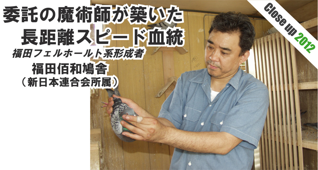 福田佰和鳩舎