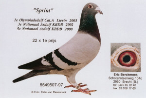 sprint