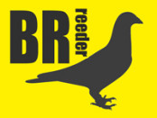 rogo.br