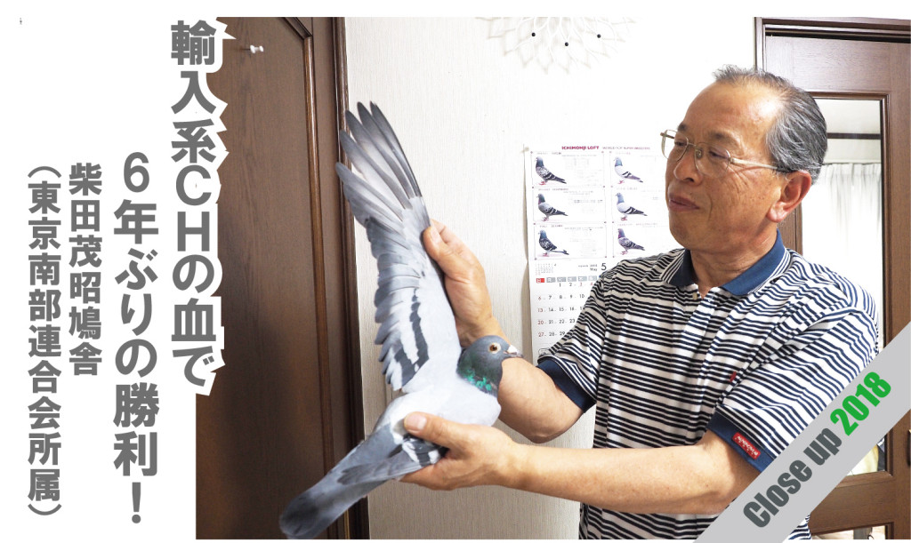 Close-up-柴田茂昭鳩舎