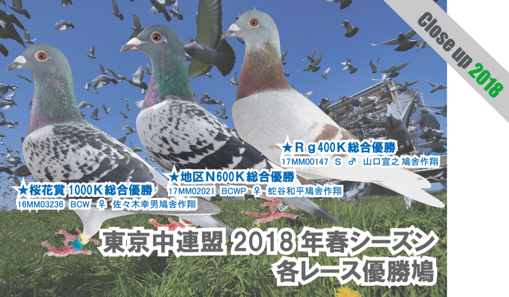 Close-up 東京中連盟